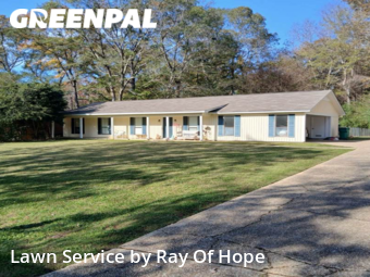 Grass Cutting nearby Northport, AL, 