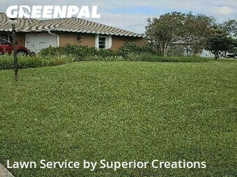 Lawn Cutting nearby Spring Hill, FL, 