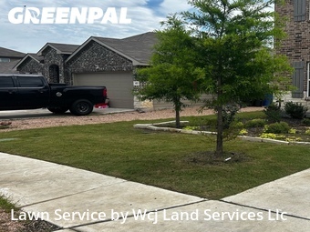Grass Cut nearby New Braunfels, TX, 