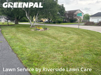 Lawn Mow nearby Rochester, NY, 
