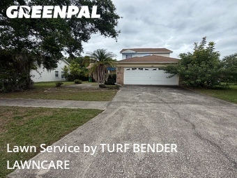 Grass Cut nearby Palm Harbor, FL, 