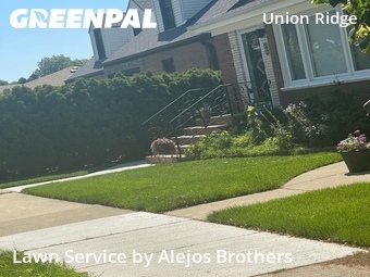 Backyard Landscaping In Chicago,60656,Landscapers by Alejos Brothers, work completed in Jul , 2026