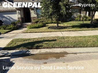 Lawn Carein Cypress,77433,Lawn Mowing Service by Dmd Lawn Service, work completed in Dec , 2025