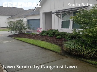 Grass Cutting nearby Baton Rouge, LA, 