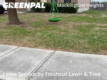 Lawn Mow nearby New Braunfels, TX, 