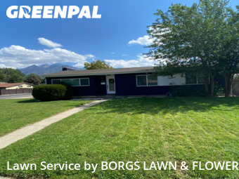 Grass Cutting nearby Cottonwood Heights, UT, 