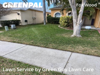 Grass Cut nearby Trinity, FL, 