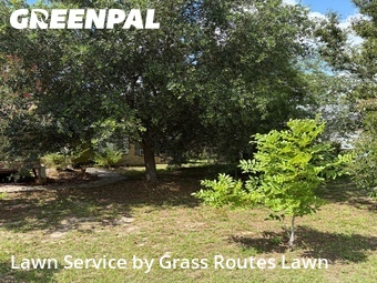 Lawn Maintenance nearby Ocala, FL, 