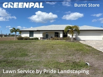 Lawn Mow nearby Cape Coral, FL, 