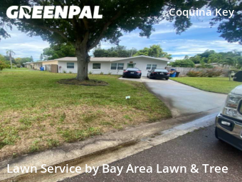 Lawn Mowing nearby St. Petersburg, FL, 