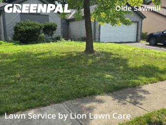 Work completed by lawn-care-experts-near-me-in-Dublin-CA
