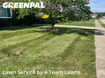 Lawn Cut nearby Euclid, OH, 