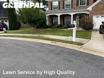 Grass Services in Peachtree City, 30269, Lawn Services by High Quality , work completed in Dec , 2025