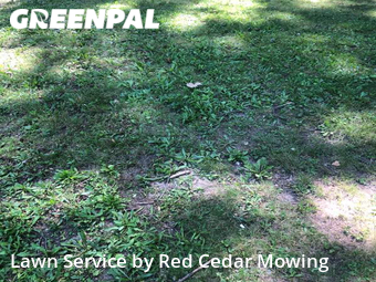 Grass Cutting nearby Lansing, MI, 