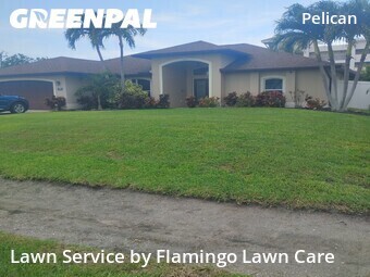 Lawn Cut nearby Cape Coral, FL, 