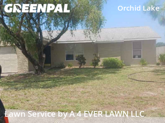 Grass Cutting nearby New Port Richey, FL, 