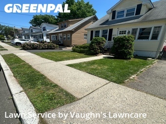 Lawn Cut nearby Union, NJ, 