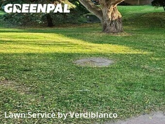 Lawn Mow nearby Madison, WI, 