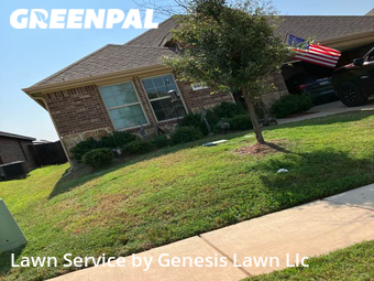 Lawn Cut nearby Forney, TX, 