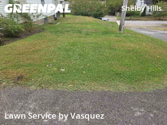 Lawn Cut nearby Nashville, TN, 
