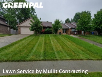 Lawn Cut nearby Lexington, KY, 