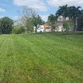 Lawn Care Service in Tamarac, FL, 33319