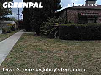 Lawn Service nearby Los Angeles, CA, 