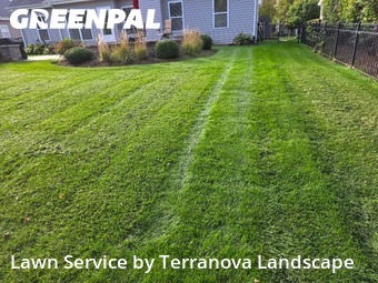 Lawn Cutting in Geneva, 60134, Yard Management by Terranova Landscape, work completed in Dec , 2025