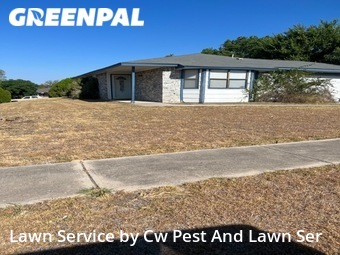 Lawn Mow nearby Killeen, TX, 
