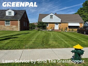 Lawn Mow nearby South Euclid, OH, 