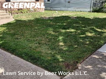 Yard Cutting nearby Lancaster, NY, 