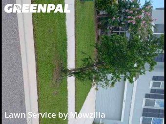 Grass Cut nearby Ruskin, FL, 