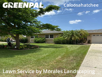 Lawn Mowing Service nearby Cape Coral, FL, 