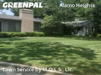 Grass Cuttingin Alamo Heights,78209,Grass Cut by M.Q.L.C. Llc., work completed in Feb , 2026