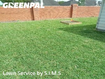 Yard Cutting nearby Sugar Land, TX, 