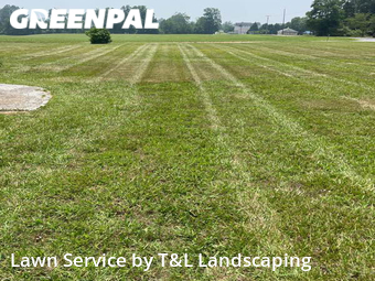 Grass Cutting nearby Forest, VA, 