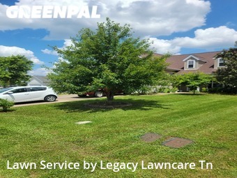 Lawn Mow nearby Murfreesboro, TN, 