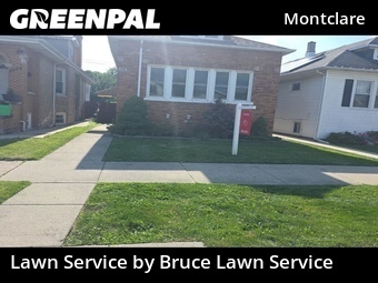 Grass Cutting nearby Chicago, IL, 