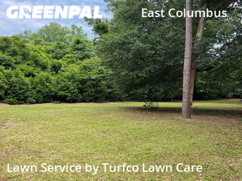 Lawn Mowing Service nearby Columbus, AL, 