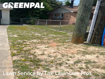 Grass Cutting nearby Fayetteville, NC, 