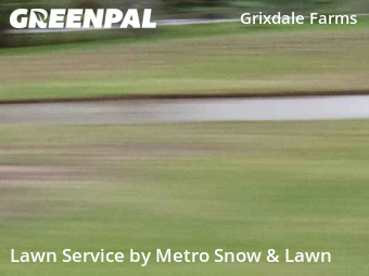 Grass Cut nearby Detroit, MI, 