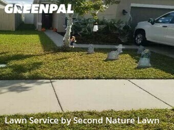 Lawn Mowing Service nearby Riverview, FL, 