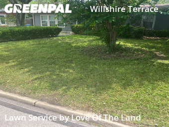 Yard Mowing nearby San Antonio, TX, 