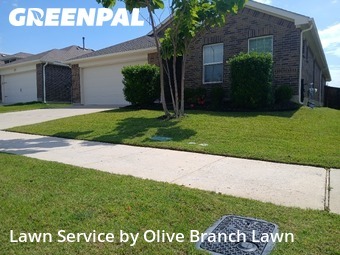 Yard Cutting nearby Fort Worth, TX, 