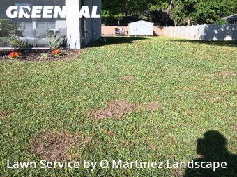 Grass Cut nearby Leesburg, FL, 