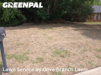 Lawn Mowin Keller,76248,Yard Cutting by Olive Branch Lawn, work completed in Dec , 2025