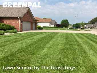 Lawn Care nearby Maryville, IL, 