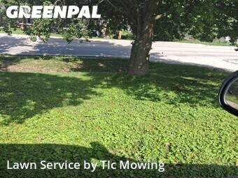 Lawn Mowing Service nearby Decatur, IL, 