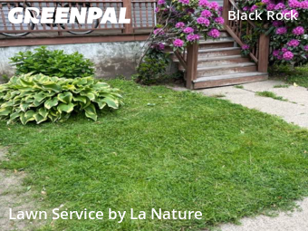 Lawn Mowing Service nearby Bridgeport, CT, 