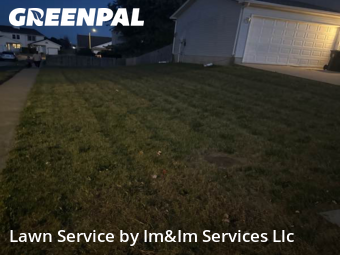 Lawn Care in Normal, 61761, Weed Trimming by Im&Im Services Llc, work completed in Dec , 2025